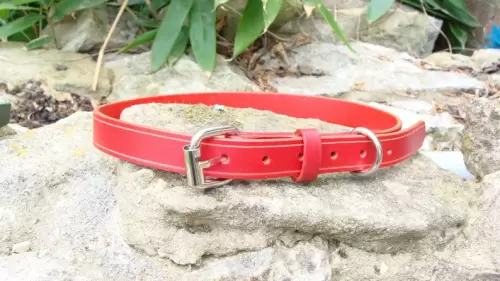 Red Leather Dog Collar £23
